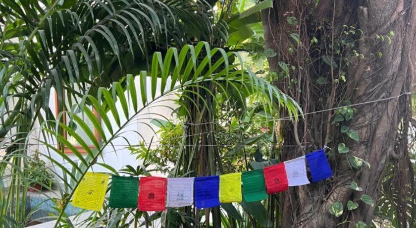 Club Denovo Hotell Butwal Exteriör bild