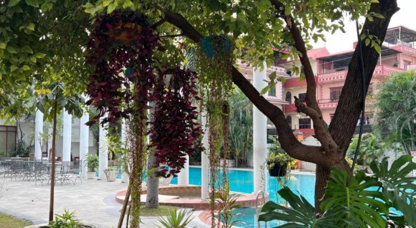 Club Denovo Hotell Butwal Exteriör bild