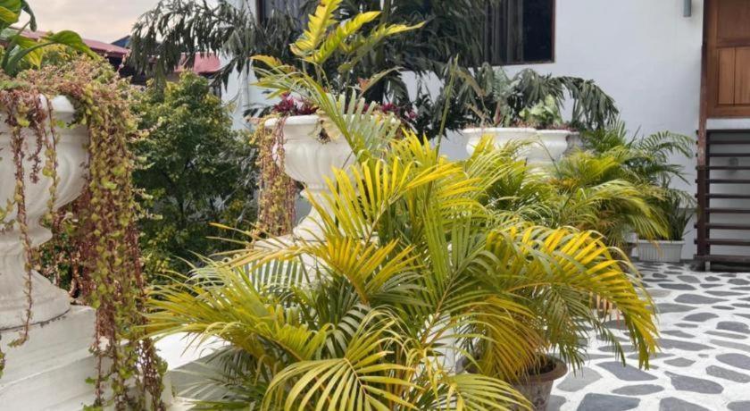 Club Denovo Hotell Butwal Exteriör bild